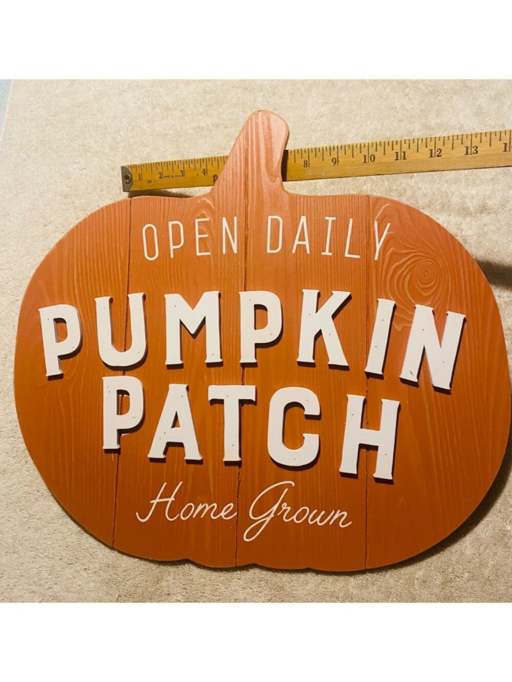 Pumpkin Patch Decorative Wood Sign 17"x12" W/ 3D White Letters Rustic Farmhouse